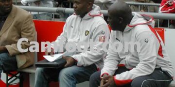 Renaissance : Libih remplace Towa