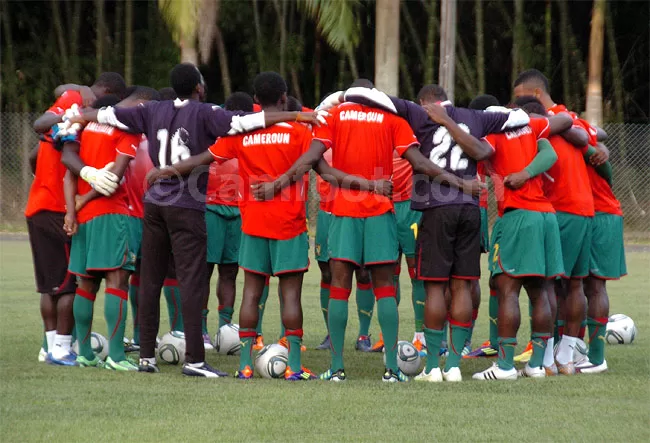 Les Lionceaux sortent les crocs, El Tri a de l’appétit