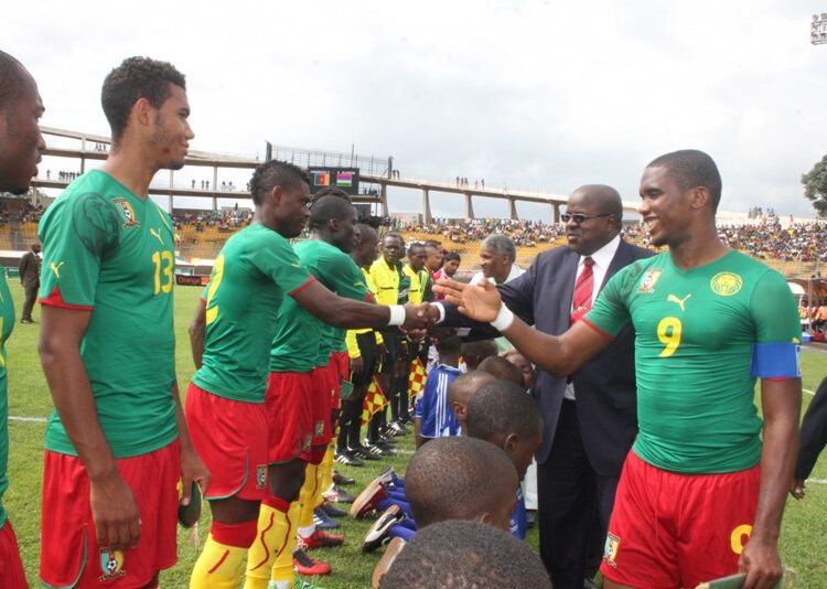 Amicaux : le programme des lions