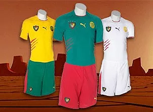 Les Lions auront un nouveau maillot