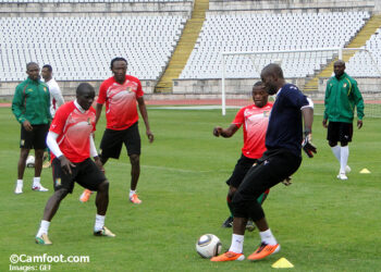 Lions indomptables : plusieurs forfaits