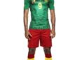 new-cameroon-shirt-2012.jpg