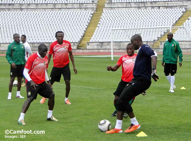 Lions indomptables : plusieurs forfaits