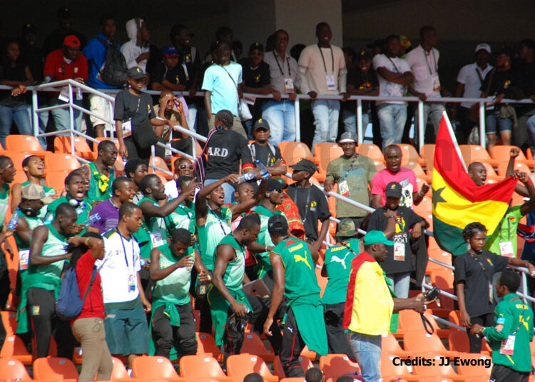 Les Lionnes à Promote