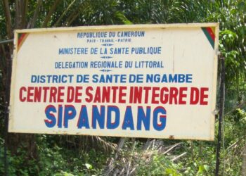 La perdrix aux choux de ma belle-mère