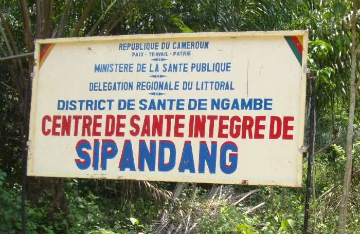 La perdrix aux choux de ma belle-mère