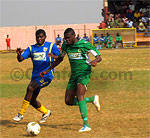 E1 : Sable et Coton dos à dos