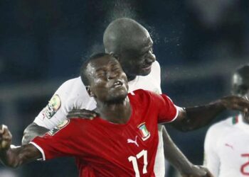 La magnifique simulation d&rsquo;Ekanga