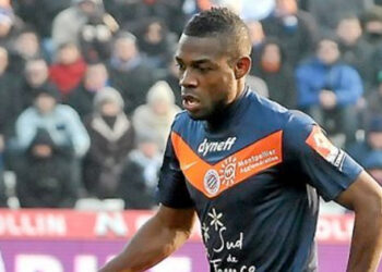 Les Lions en Club: Pendant ce temps, en France …