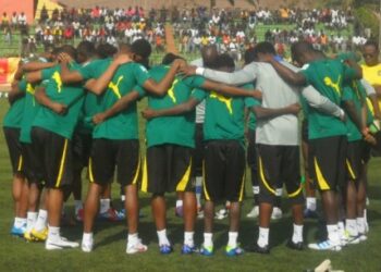 Le programme des lions est connu