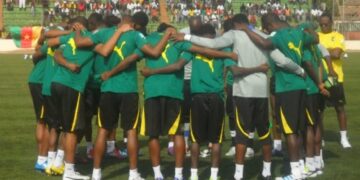 Le programme des lions est connu