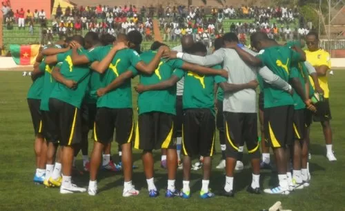 Le programme des lions est connu