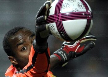 Ndy Assembe : Numéro un à Nancy et chez les Lions