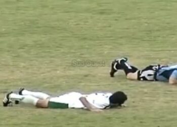 Des abeilles font arrêter un match de football