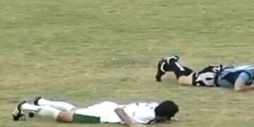 Des abeilles font arrêter un match de football