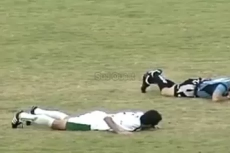 Des abeilles font arrêter un match de football