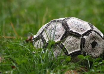 Agents de joueur : Anges venus du ciel ou vendeurs d’illusions ?