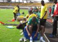Les_lions_au_entraA_R_nements_au_stade_omnisports_de_YaoundA_c_035.jpg