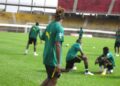 Les_lions_au_entraA_R_nements_au_stade_omnisports_de_YaoundA_c_037.jpg