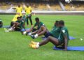 Les_lions_au_entraA_R_nements_au_stade_omnisports_de_YaoundA_c_042.jpg