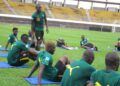 Les_lions_au_entraA_R_nements_au_stade_omnisports_de_YaoundA_c_043.jpg
