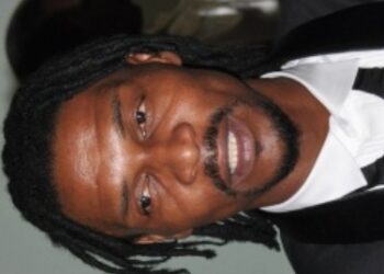 Les Lions sont avertis