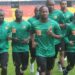 Lions indomptables: Enoh blessé et forfait