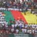 Les Lions Indomptables devenus les Lions Domptables