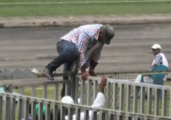 Union prend une option pour le titre