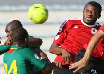 Amicaux: Pas de match pour les lions