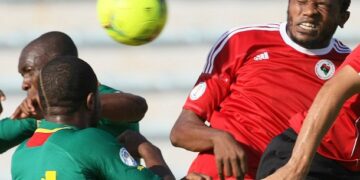 Amicaux: Pas de match pour les lions