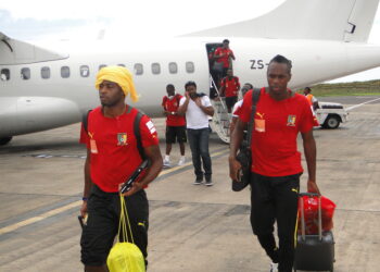 Lions: Au royaume du Rafistolage