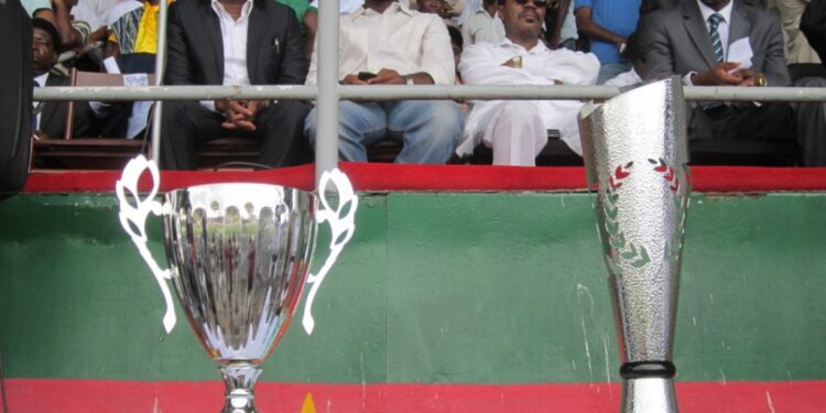 L&rsquo;apothéose d&rsquo;une expérience osée et très douloureuse.