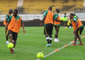 Lions Indomptables: Suivi des entraînements