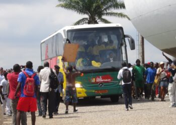 Lions: Mardi en images