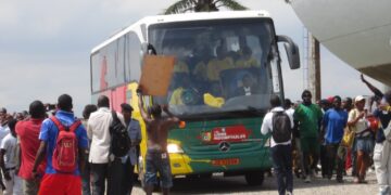 Lions: Mardi en images