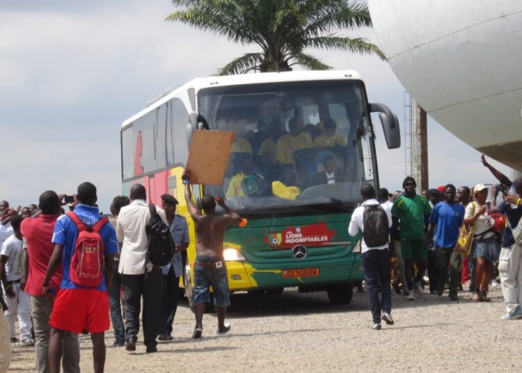 Lions: Mardi en images