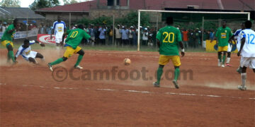 Panthère et New Star se départageront à Douala