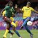 Amical : Cameroun-Afrique du Sud 1-1