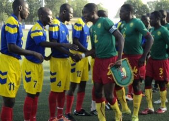 Montaigu 2013 : pas d’invitation pour les Lionceaux