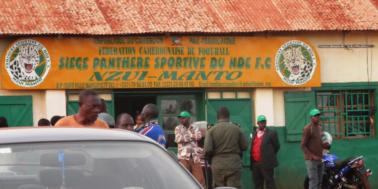 Panthère du Ndé: Hilaire Tchaya, nouveau PCA