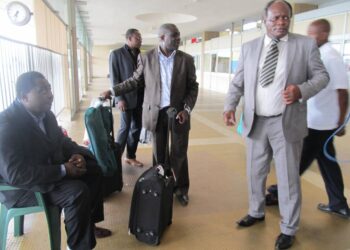 TAN – CMR: Retour des Lions