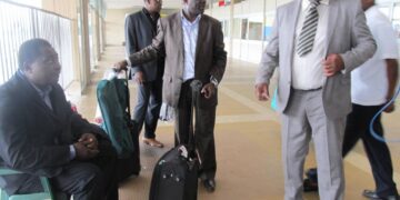 TAN – CMR: Retour des Lions