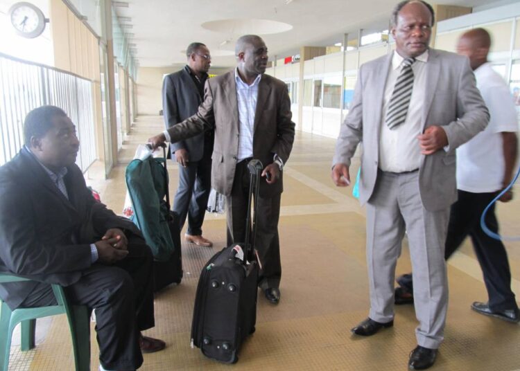 TAN – CMR: Retour des Lions