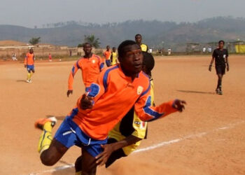 E2: Aigle accroché à domicile