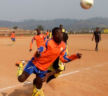E2: Aigle accroché à domicile