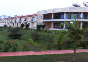 Lions Indomptables: Dans un havre de paix