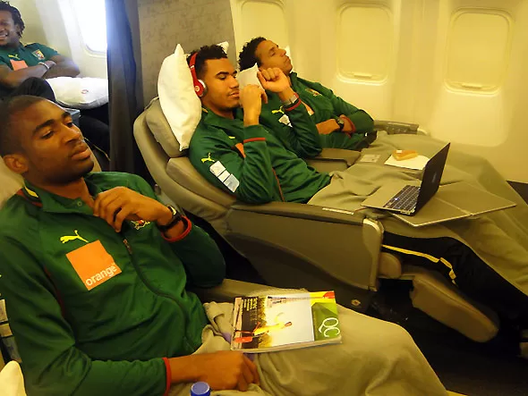 Les Lions Indomptables au petit trot