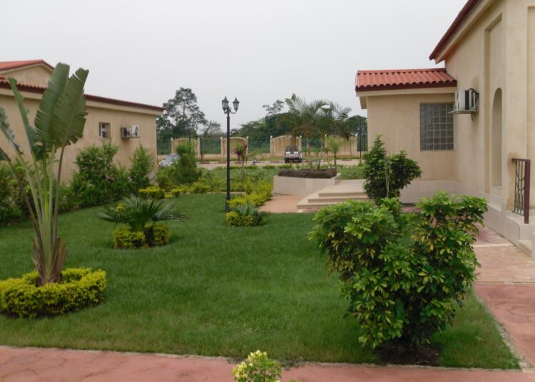 « C’est une découverte » pour Jean II Makoun