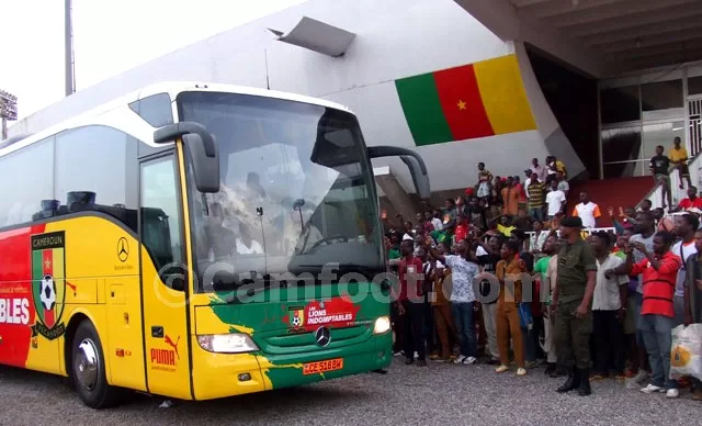 Les lions à Mfandena sous haute escorte policière